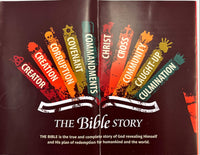The Bible Story