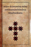 New Testament 4 Gospels and Acts -Plains Cree Phonetics