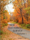 New Testament Survey - Volume One